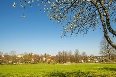 Alman küçük köyü ile mavi gökyüzünde kiraz çiçeği