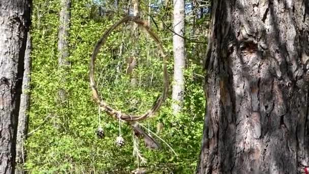 attrapeur de rêves dansant dans le vent dans une forêt 