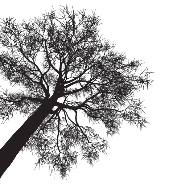 Vektorritning Trädet Detaljerad Vektor — Stock vektor