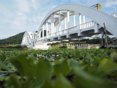 Güzel demiryolu köprüsü, Saphan Khao Tha Chomphu Ban Tha Chomphu Lamphun, Tayland
