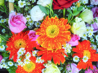 Çiçeklerle dolu canlı bir arka plan. Renkli çiçek tebrikleri. canlı çiçek selamlaması