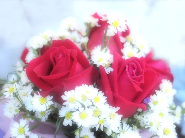 淡淡的红玫瑰与新鲜的红玫瑰紧密相连 夏天的背景 春光背景 情人节背景 — 图库照片