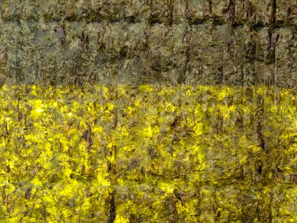 焼き海苔寿司 海藻シート — ストック写真