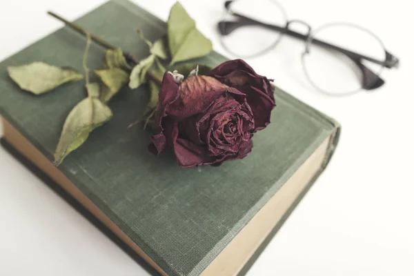 Altes Buch mit schönen roten getrockneten Rosen — Stockfoto