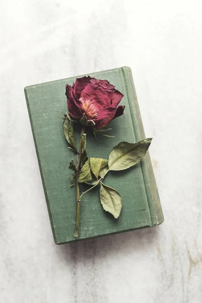 Altes Buch mit schöner getrockneter Rose — Stockfoto