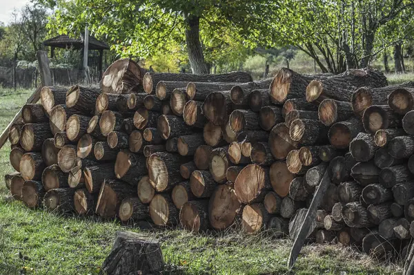 Stapel hout voor de winter — Stockfoto