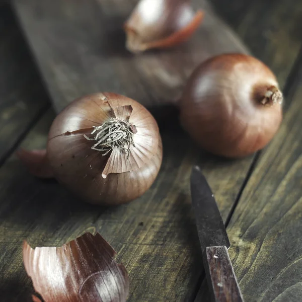 La cebolla sobre la tabla de madera — Foto de Stock