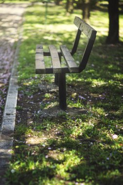 Şehir parkında boş ahşap bank