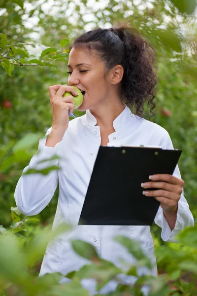 Счастливый агроном пробует вкус свежих яблок — стоковое фото