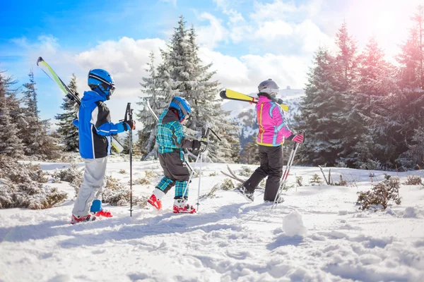 Happy family ski team fun on beautiful mountain — Stock Photo, Image