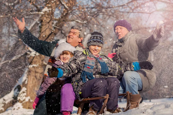 雪、冬のファミで楽しんでいる孫を持つ祖父母 — ストック写真