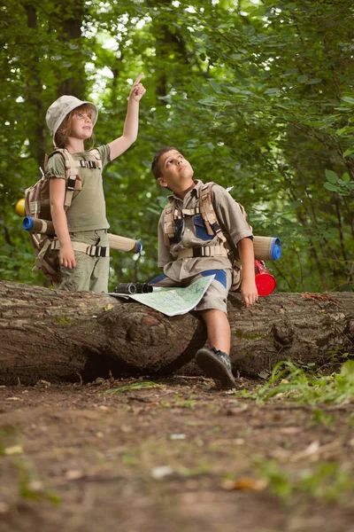 Meninos em viagem de acampamento na floresta explorando — Fotografia de Stock