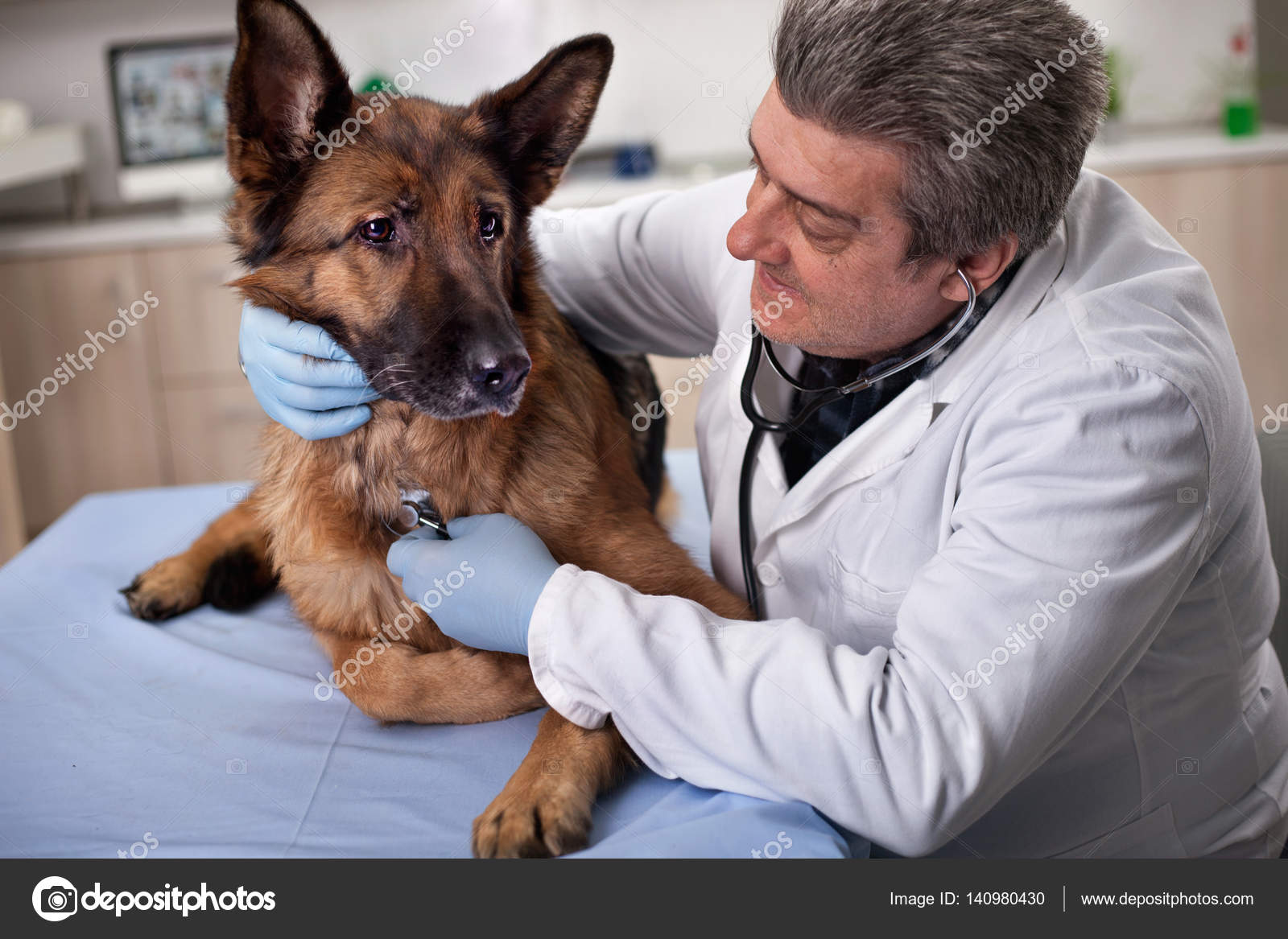 Köpeklerde Diş Sağlığı ve Bakımı Köpeklerde Diş Sağlığı ve Bakımı