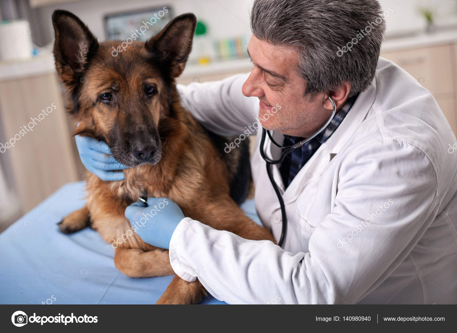 Köpeklerde Diş Sağlığı ve Bakımı Köpeklerde Diş Sağlığı ve Bakımı