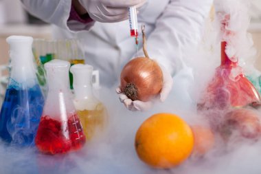 GDO deneme bilim adamı agricult soğan sıvı enjekte