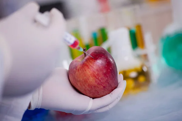Вчений експерименту GMO впорскує рідину в яблуко в сільському господарстві — стокове фото