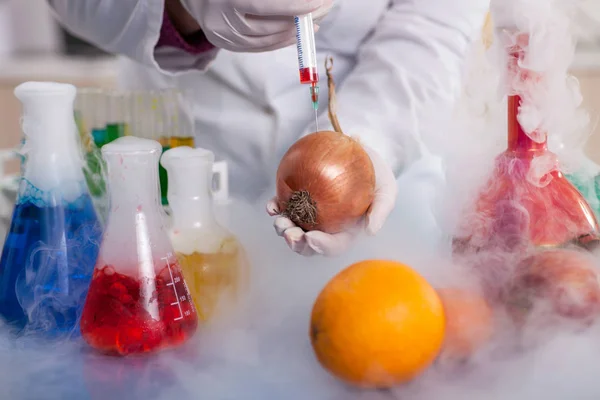 Вчений-експериментатор GMO впорскує рідину в цибулю в сільському господарстві — стокове фото