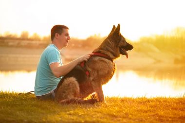 Rahat adam ve köpeği yaz günbatımı veya gündoğumu keyfi