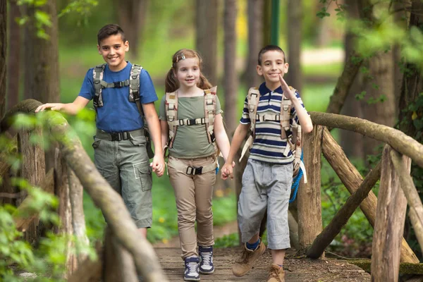 Barn scouter resenären med ryggsäck vandring bridge i skogen — Stockfoto