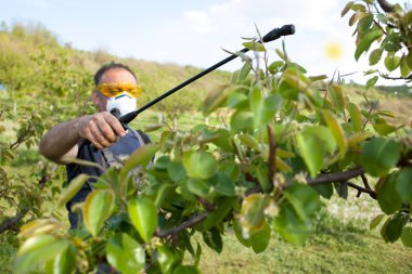  bir böcek ilacı, onun meyve birimi için gübre uygulama bahçıvan