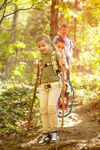 Kinderen scouts en vader Verken het prachtige bos — Stockfoto