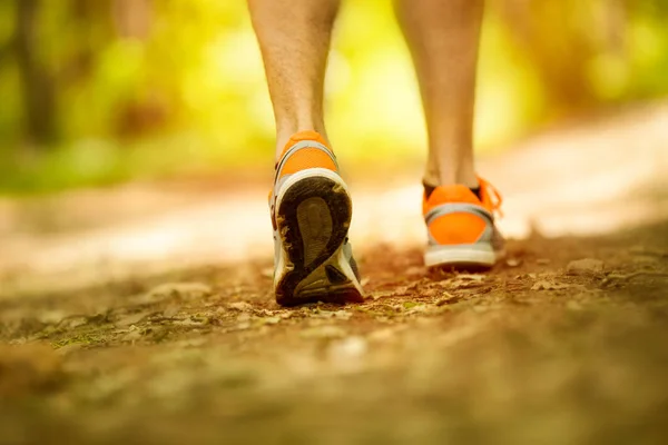 Спортсмен бегает спортивные ноги по лесу, здоровый образ жизни фитнес — стоковое фото
