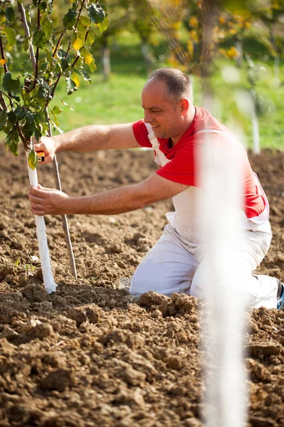 産業としての農業のテーマは、農家を保護する木のニット — ストック写真