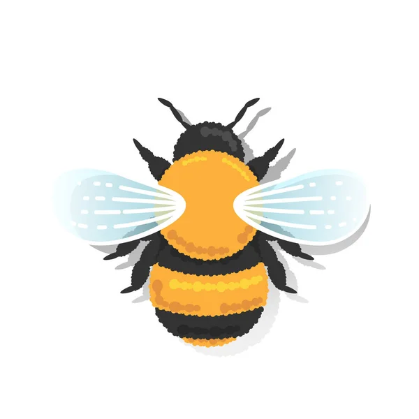 Vector Stylized Illustration Bumblebee — Stock Vector