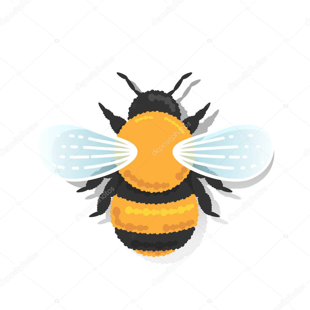 Vector, stylized  illustration of bumblebee