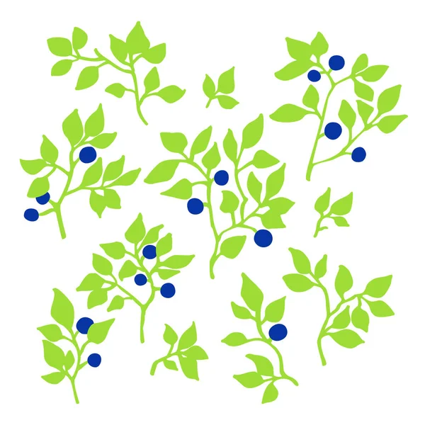 Ensemble Branches Bleuet Sauvage Illustration Vectorielle Des Bleuetiers — Image vectorielle