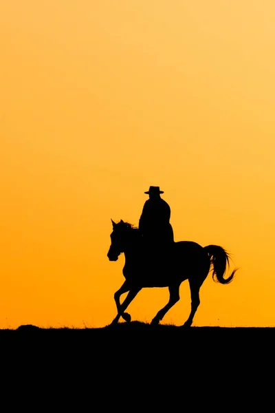 Paardrijden in de zonsondergang — Stockfoto