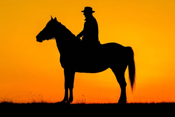 Cavaliere uomo e il suo cavallo al tramonto — Foto Stock