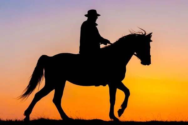 Passeios a cavalo ao pôr-do-sol — Fotografia de Stock