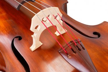 Bridge and strings on a contrabass clipart