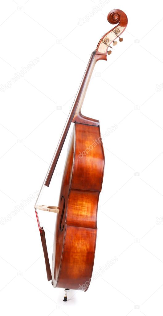 Side view of a double bass 