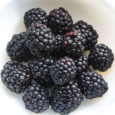 Bir porsiyon lezzetli böğürtlen