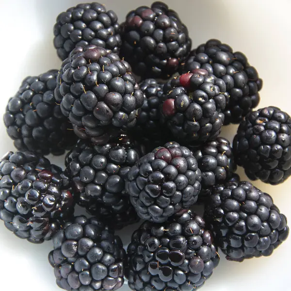 Bir porsiyon lezzetli böğürtlen