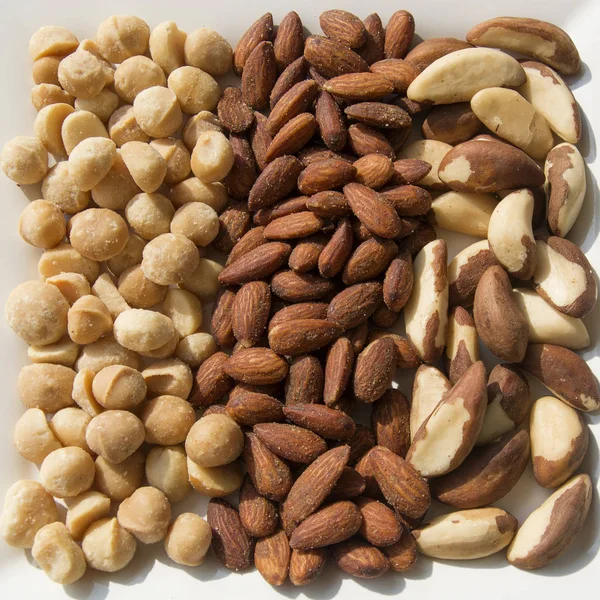 An assortment of roasted and salted Macadamia Nuts, Almonds and Fresh Brazil Nuts