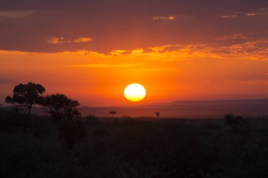 Kenya, Afrika 'daki Masai Mara Ulusal Parkı' nda nefes kesen gün batımı