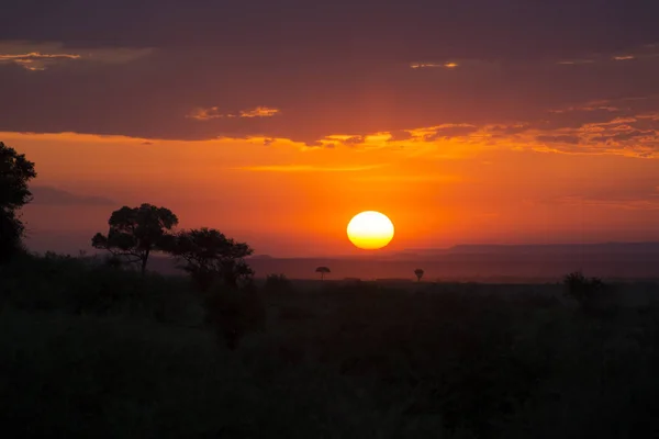 Breathtaking Sunset Masai Mara National Park Kenya Africa — Stock Photo, Image