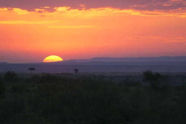 Atemberaubender Sonnenuntergang Masai Mara Nationalpark Kenia Afrika — Stockfoto