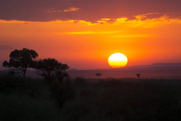 Pôr Sol Respiração Parque Nacional Masai Mara Quênia África — Fotografia de Stock