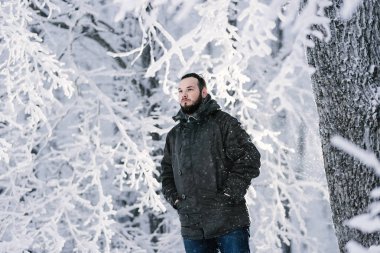 bir ormandaki soğuk kış