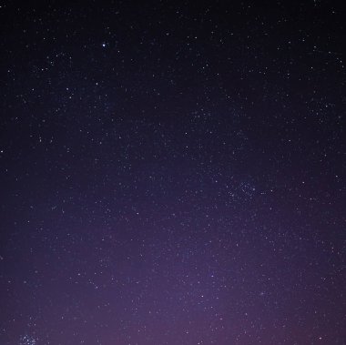 yıldızlı gece gökyüzü ağaçları ile