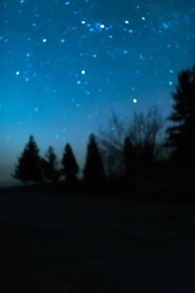 Cielo nocturno estrellado con árboles — Foto de Stock