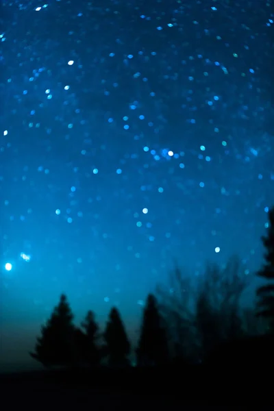 Cielo nocturno estrellado con árboles — Foto de Stock