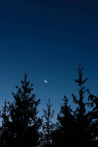 Cielo nocturno, la luna — Foto de Stock