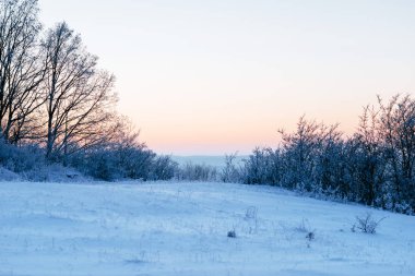 Muhteşem kış ormanı