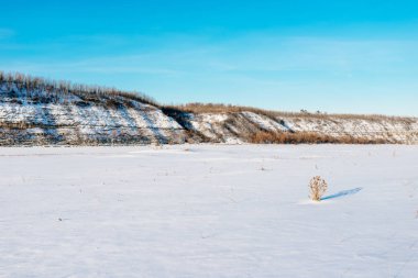 Kış manzarası. doğanın kompozisyon.