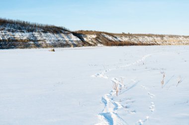 Kış manzarası. doğanın kompozisyon.